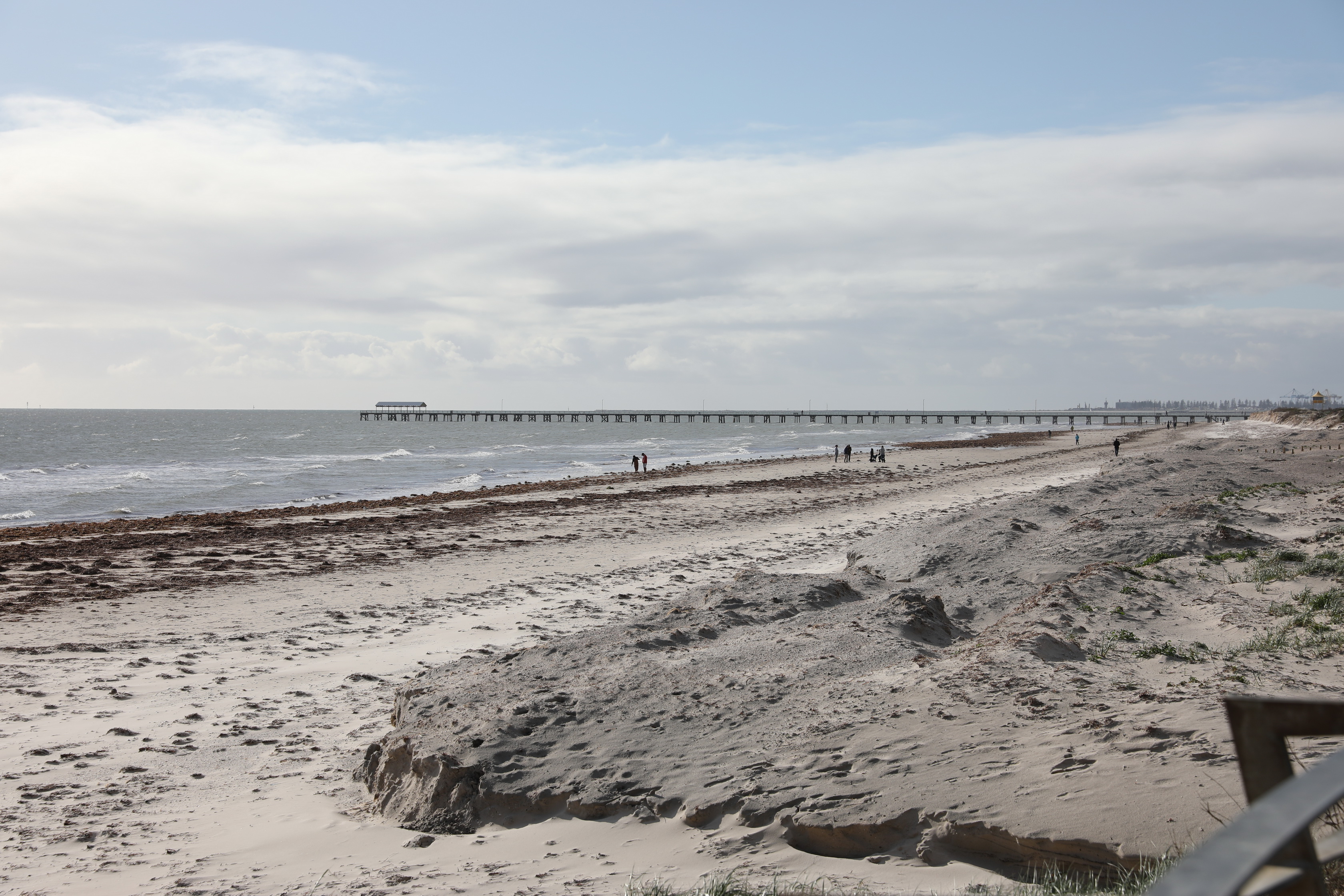 2019 08 11 15 15 15 Canon EOS 5D Mark IV 0012